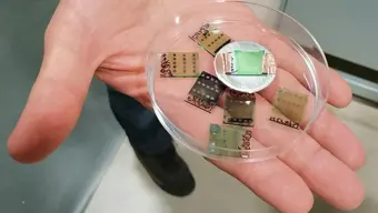 Fotografia przedstawia szybę z roboczymi zapiskami naukowców, za którą znajduje się miejsce do przygotowywania odczynników, wypełnione sprzętem.