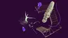 A decorative image in the shades of purple, grey and white.