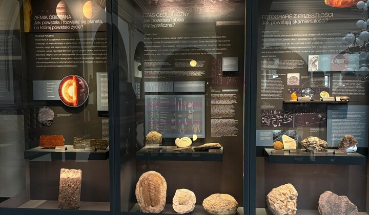 Na zdjęciu fragment ekspozycji: gabloty ze skamieniałościami, obok nich opisy.