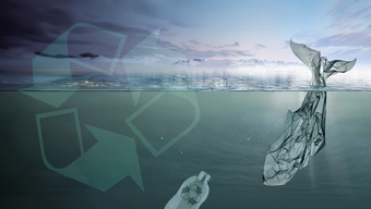 Grafika promująca wydarzenie przedstawiająca plastikową torebkę ułożoną na kształt ryby, która nurkuje do wody za butelką z tworza sztucznego z nadrukowanym symbolem recyklingu