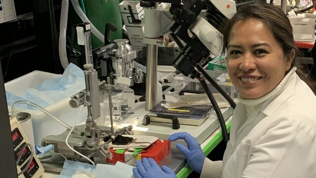 Sesja techniczna w laboratorium prof. Karla Deisserotha poświęcona zabiegom chirurgicznym (wstrzyknięcie i implantacja). Fot. archiwum prywatne Glorii Lesly Jimenez Mirandy 