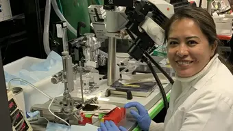 Photograph of a researcher working at a microscope-assisted experimental workstation equipped with surgical and imaging instruments.