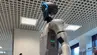 Humanoidalny robot w laboratorium badawczym.