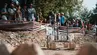 Łazik marsjański podczas zawodów European Rover Challenge na kampusie AGH. Robot porusza się po marsjańskim torze testowym. Obserwuje go publiczność.
