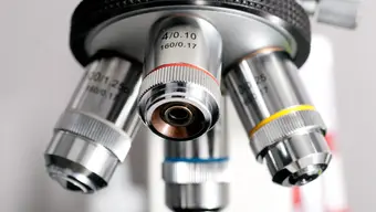 Na zdjęciu w dużym zbliżeniu tzw. rewolwer mikroskopu z czterema obiektywami.