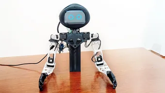 Torso of a humanoid robot on top of a table.