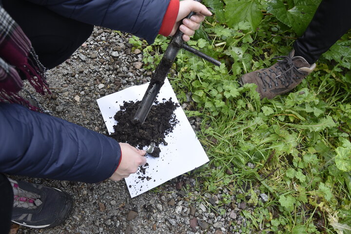 Collection of a soil sample.