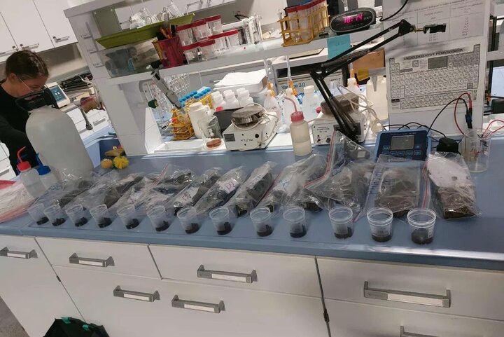 Numerous soil samples displayed on a table in a laboratory setting.