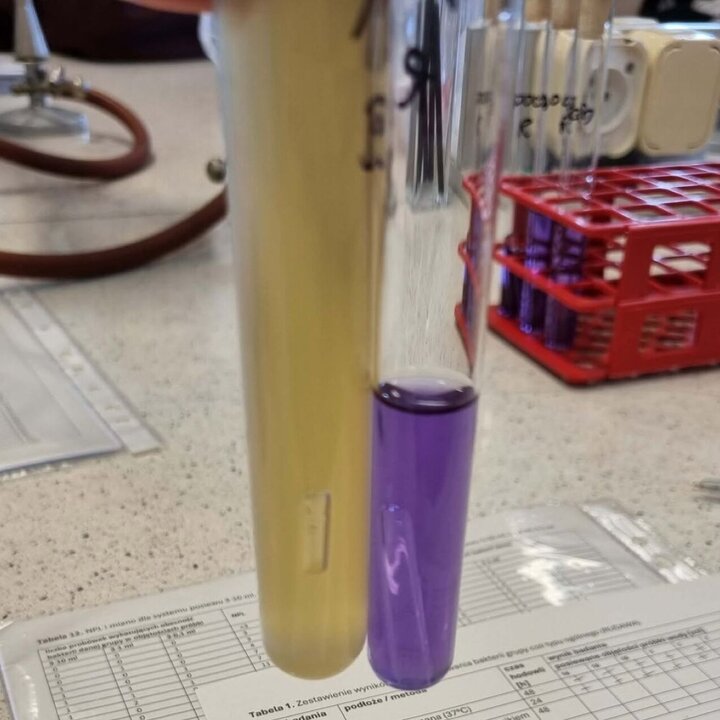 Two test tubes containing pale yellow and purple liquids standing in a laboratory rack on a lab bench.