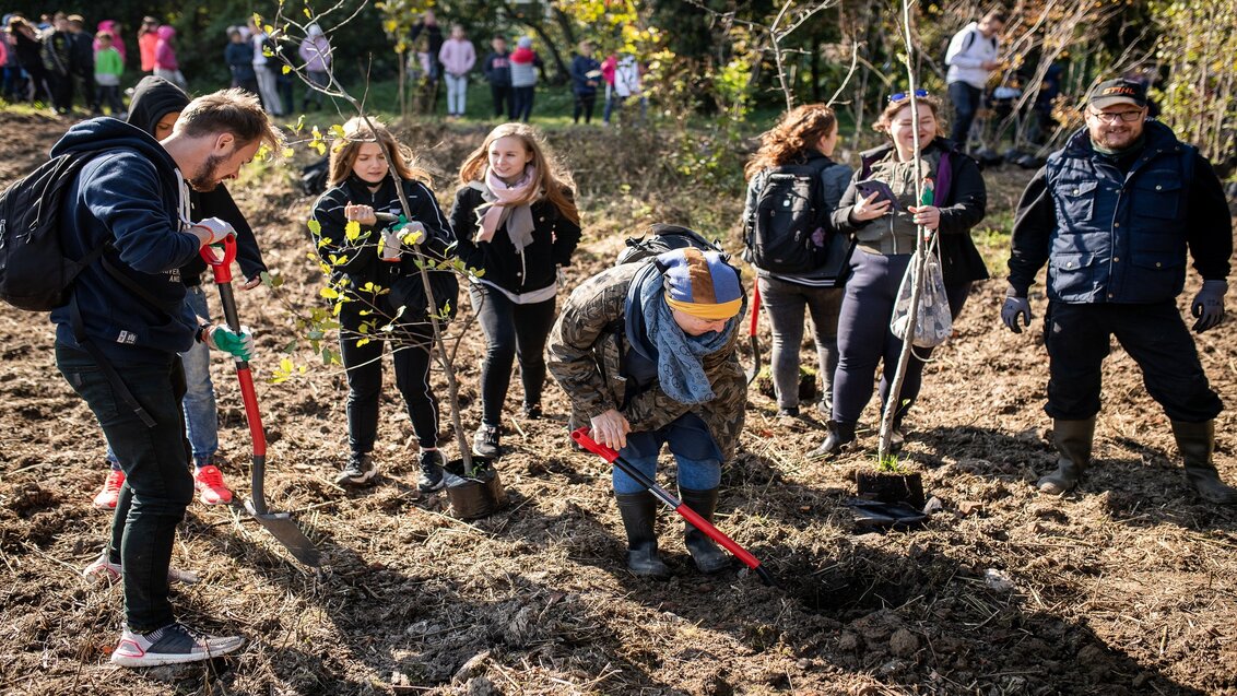 Planting plot. A woman digs a hole for a seedling. A group of students surrounds her. A pleasant, autumnal weather, the sun shines, most people wear sports shoes and light jackets or jumpers. In the background, there are people who also plant small trees. The atmosphere is agreeable.