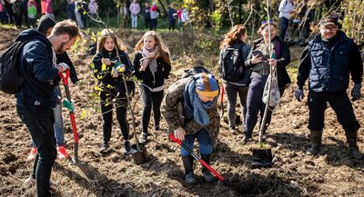 Planting plot. A woman digs a hole for a seedling. A group of students surrounds her. A pleasant, autumnal weather, the sun shines, most people wear sports shoes and light jackets or jumpers. In the background, there are people who also plant small trees. The atmosphere is agreeable.