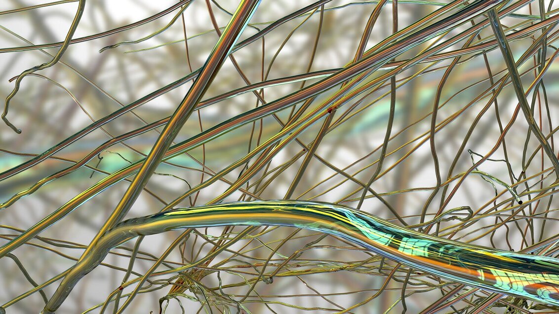Kolorowa grafika ilustracyjna 3D przedstawiająca gęstą sieć połączonych ze sobą naczyń.