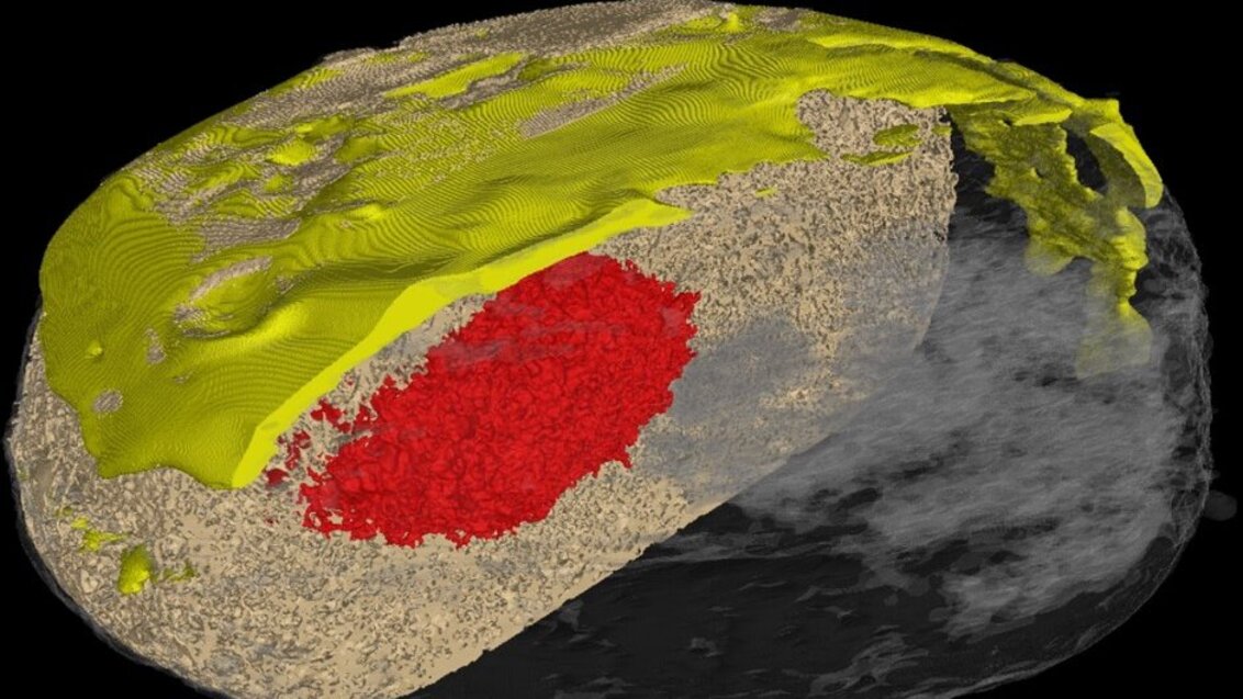 Tomograficzny obraz przekrojonego na pół pączka z widoczną warstwą lukru (w kolorze żółty,), nadzienia (w kolorze czerwonym) oraz ciasta (w kolorze piaskowo-szarym)