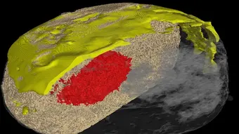 A CT scan of a doughnut sliced in half with a visible layer of icing (in yellow), filling (in red), and dough (in sand-grey).