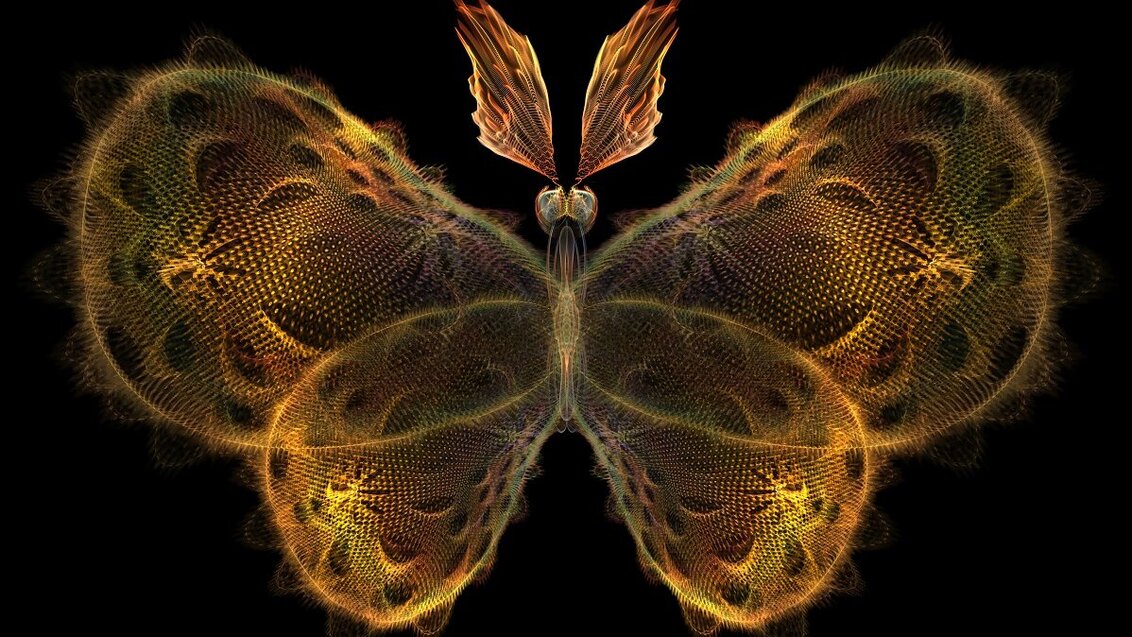 The picture shows a digital image of a yellow butterfly against a black background.