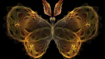 The picture shows a digital image of a yellow butterfly against a black background.