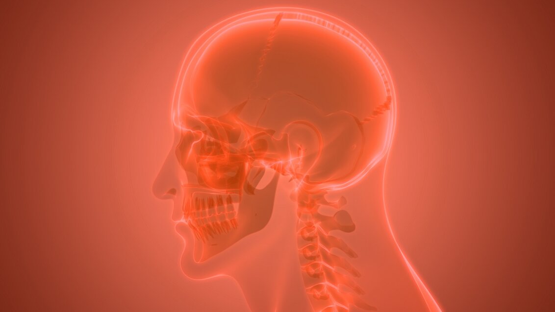 A colourful illustrative image – a 3D image of a human skull.