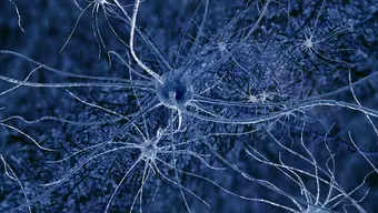 Illustration of interconnected neurons with branching dendrites and axons forming a dense neural network.