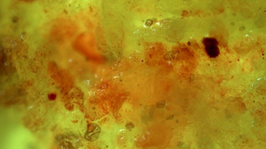 A yellow and orange spongy structure of the sliced doughnut.