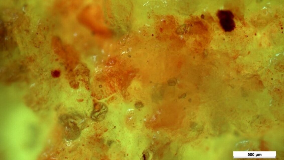 Na zdjęciu żółto-pomarańczowa, gąbczasta struktura przekrojonego pączka.