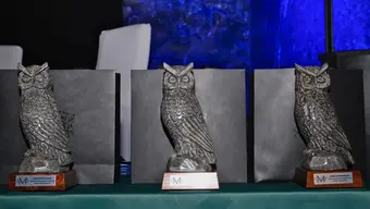 Na zdjęciu trzy pamiątkowe statuetki w kształcie sów.
