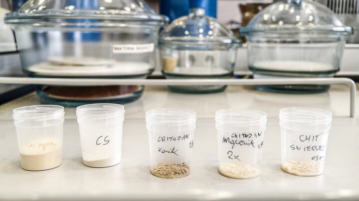 Plastic containers holding chitin and chitosan samples on a laboratory bench, with glass desiccators visible in the background.