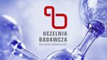 Grafika dekoracyjna z nazwą o logotypem IDUB