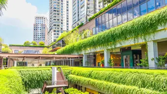 Kolorowa grafika ilustracyjna przedstawiająca nowoczesne budynki miejskie, których ściany i dachy pokrywa roślinność.